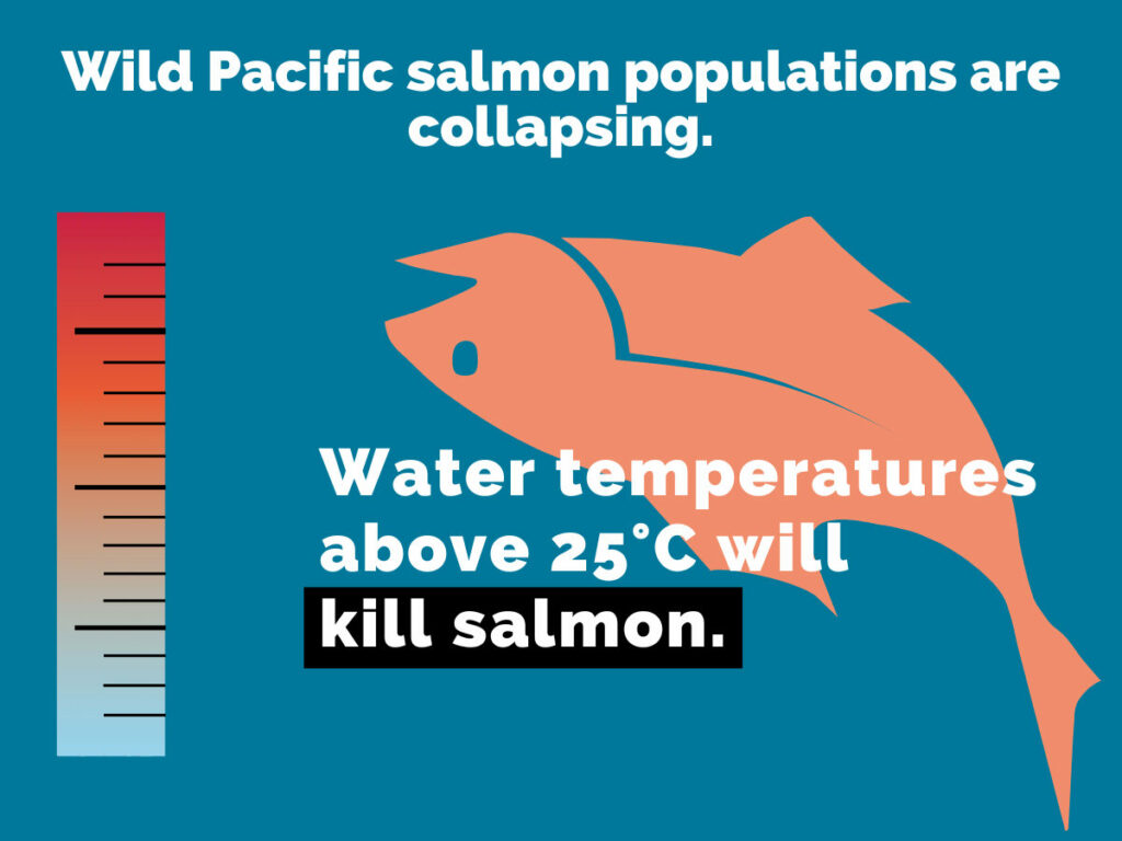 Save Our Salmon Coalition