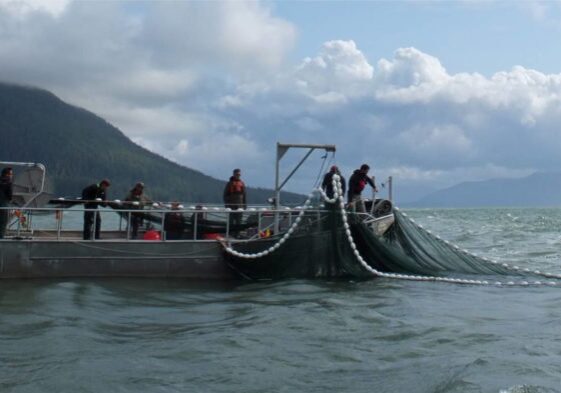 08-fisheries-act-modernization